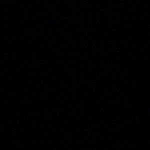 Meet your Posher, Bailey